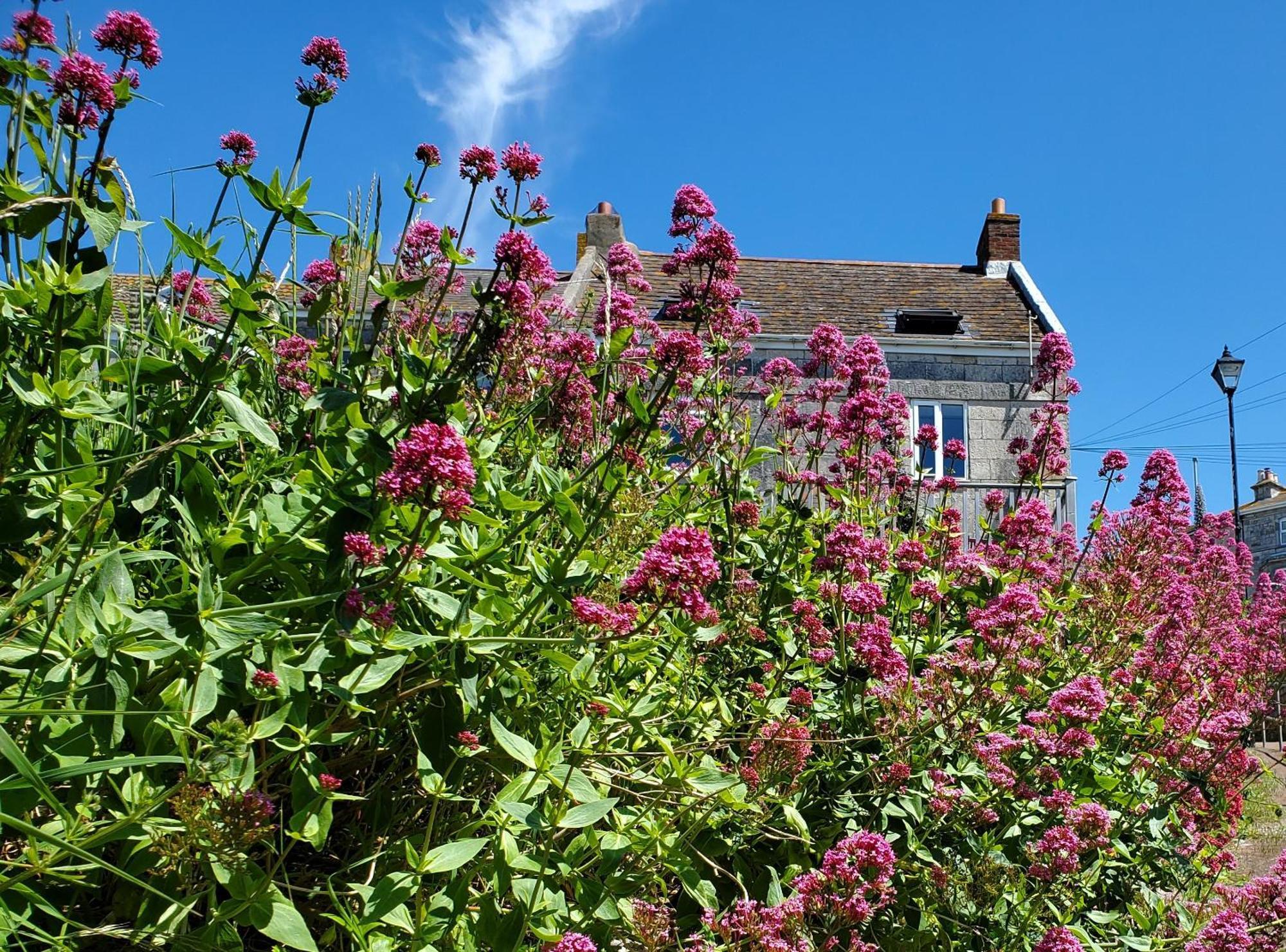 Sea View Cottage Portland Eksteriør bilde